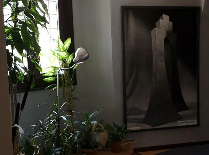 San Martin Maison d'hôtes